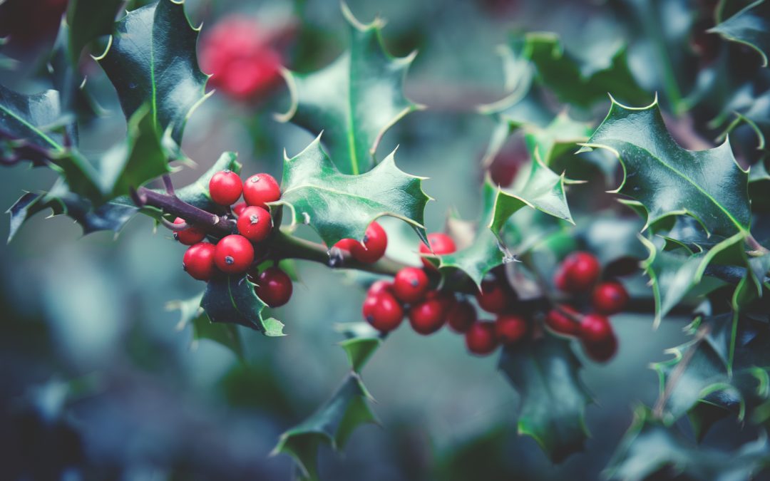 Seven Tips for Successful Festive Networking